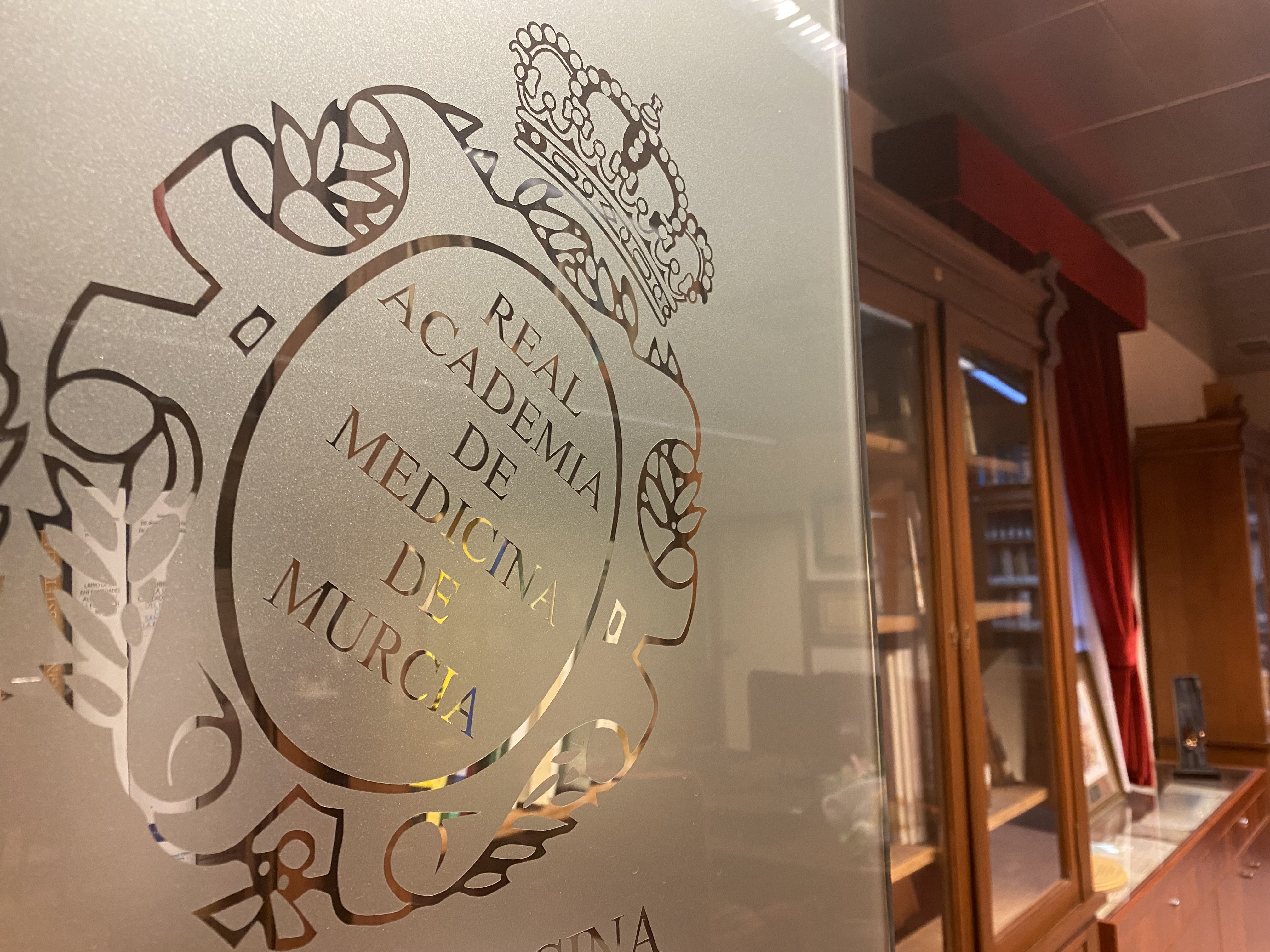 La Real Academia de Medicina y Cirug&iacute;a de la Regi&oacute;n de Murcia convoca sus distinciones y premios 2026<br>