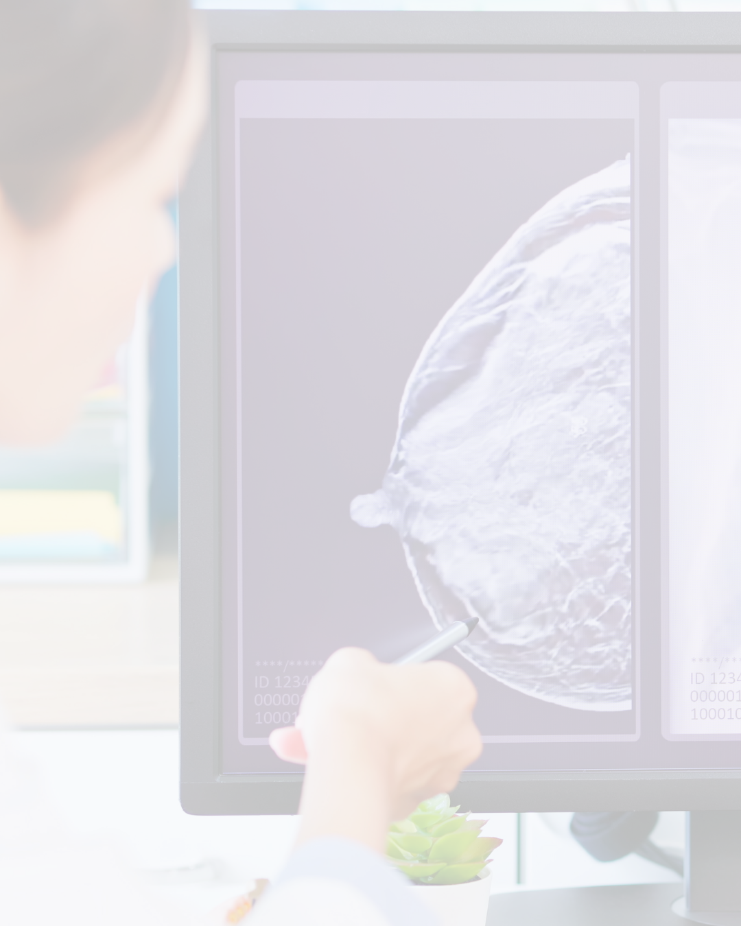 Curso online sobre el abordaje multidisciplinar del c&aacute;ncer de mama: el papel del comit&eacute; en la pr&aacute;ctica cl&iacute;nica<br>