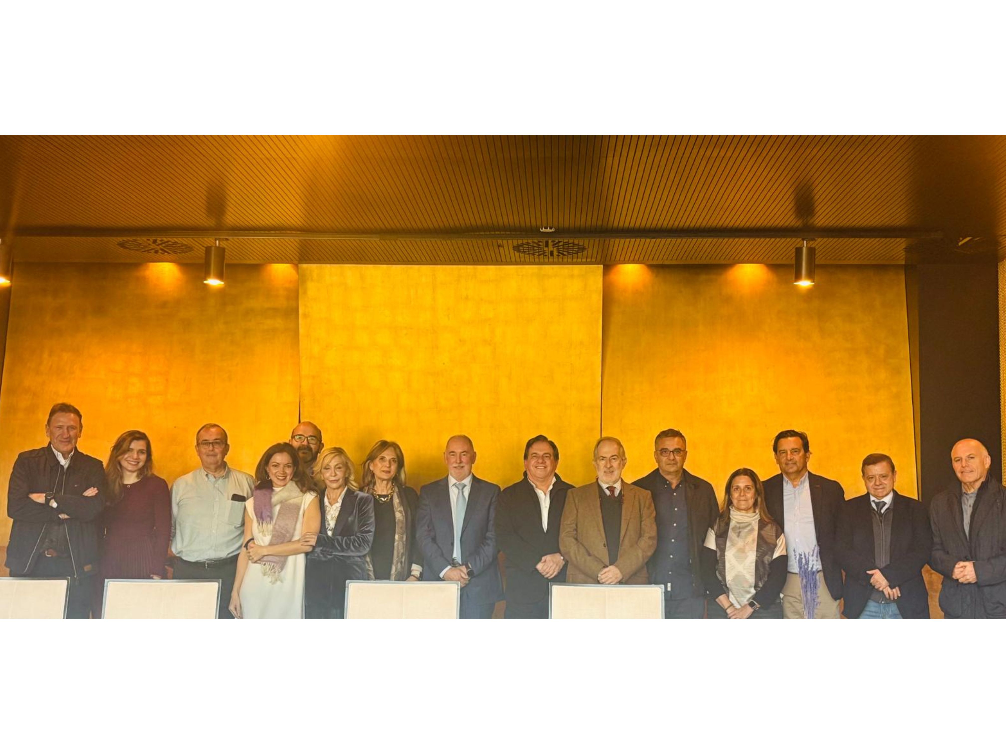 El Consejo Asesor del presidente del Colegio de M&eacute;dicos aborda cuestiones estrat&eacute;gicas para la profesi&oacute;n y la Sanidad regional, en su reuni&oacute;n de diciembre<br>