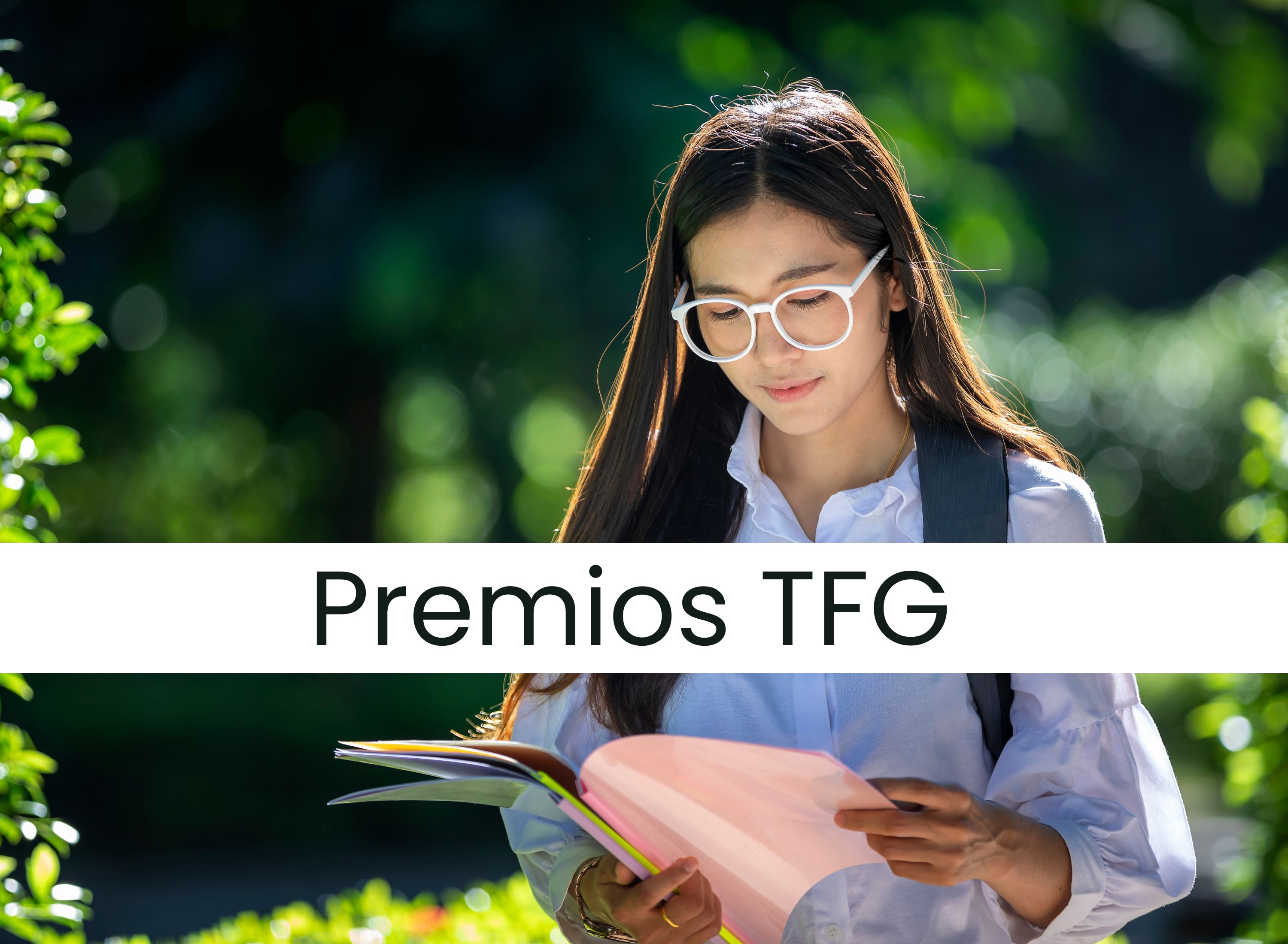 Convocamos una nueva edición de Premios al Mejor Trabajo de Fin de Grado<br>